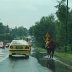 burza-nowy-targ-lipiec-2010-051